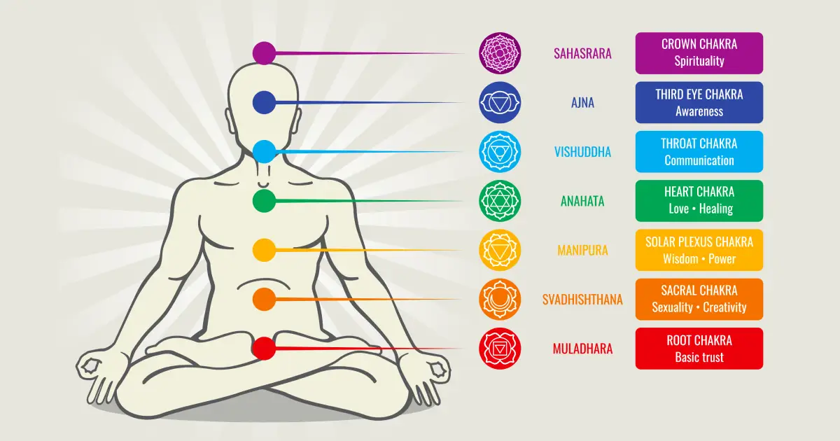 7 major chakras from root to crown, with the title 'What Are Chakras?'