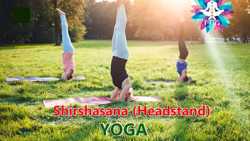 How to Shirshasana (Headstand), Steps and Benefits