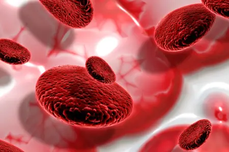 Better Blood Circulation