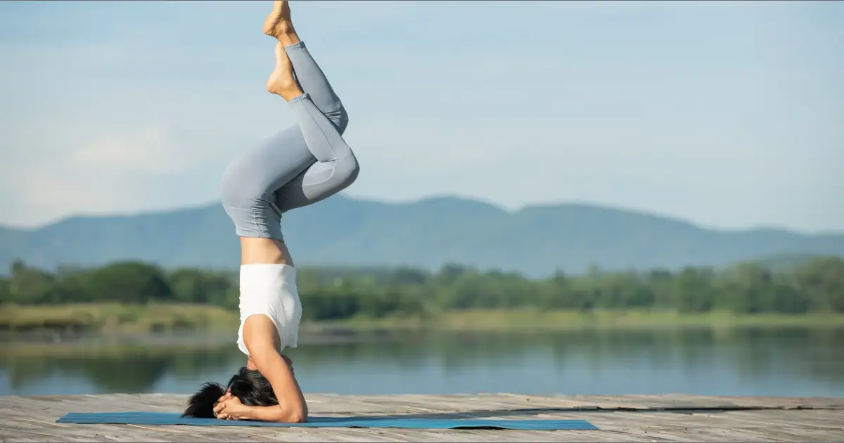 Mastering the Ashtanga Primary Series: A Comprehensive Guide to Poses, Philosophy, and Practice for Beginners and Beyond