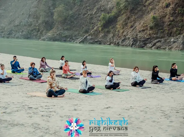 Transform Your Life with Online/Offline Yoga Training in Rishikesh, India