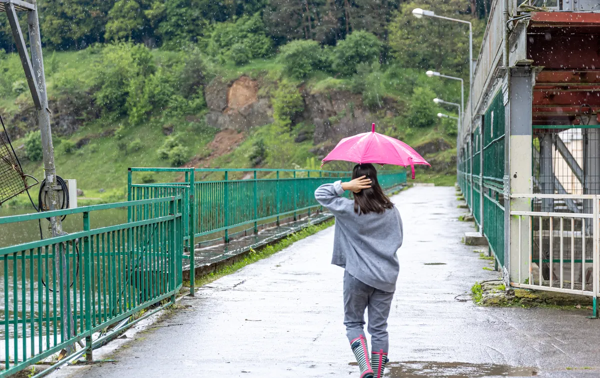 Person with a pink umbrella walking across a wet bridge past green, rain-soaked hills during the monsoon