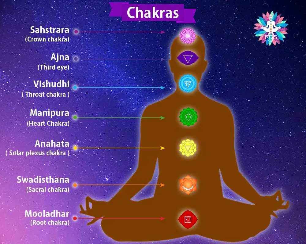 Illustration of the Root chakra located at the base of the spine, represented by the color red and the element earth.