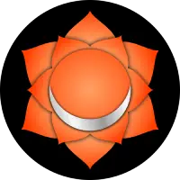 The Sacral chakra, located 2 inches below the navel, associated with the color orange and the element water