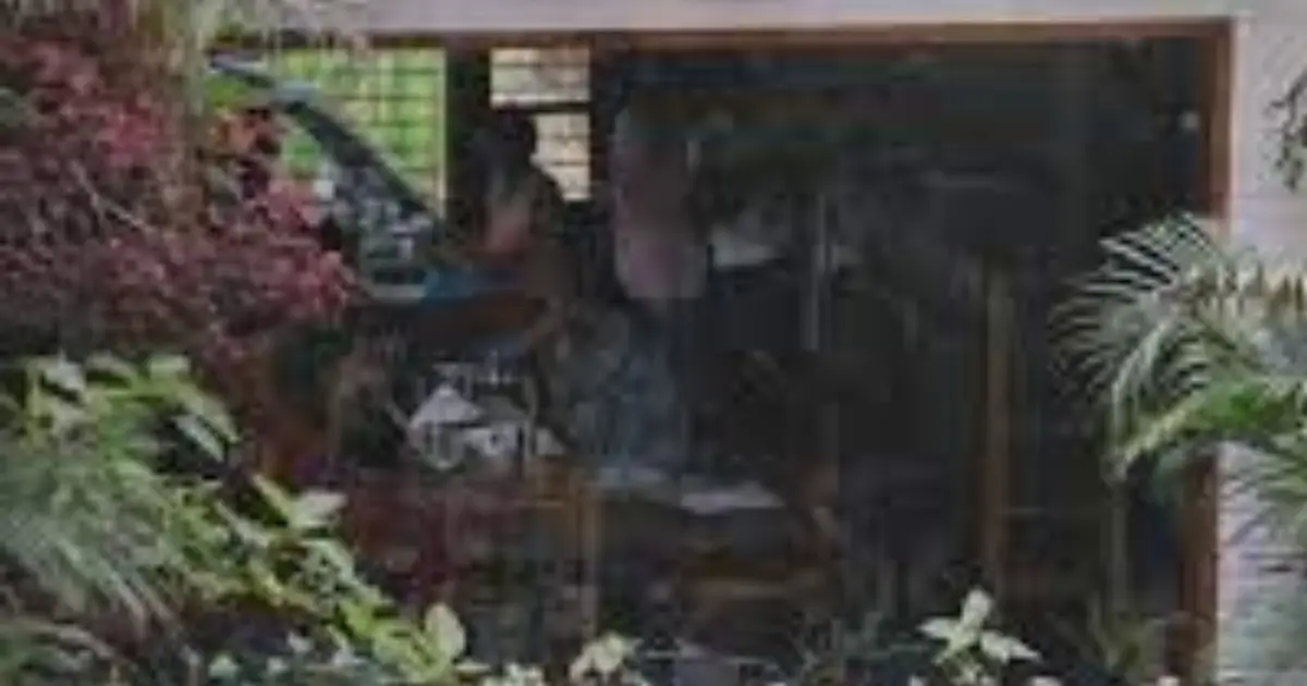 Yoga Training in Rishikesh, India